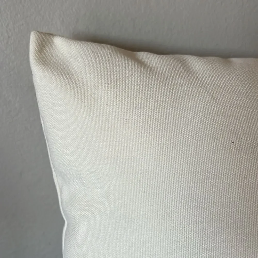 Outdoor Throw Pillow